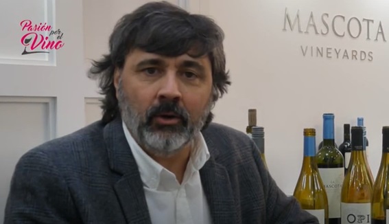 Foto mundo del vino