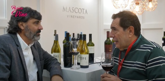 Foto mundo del vino