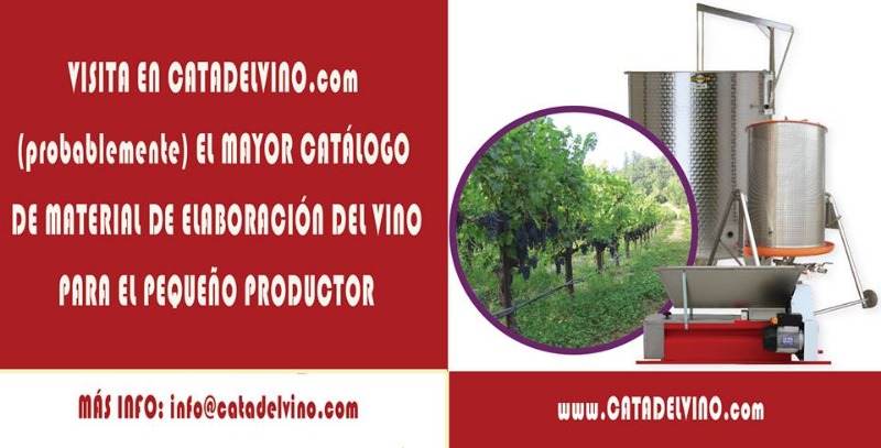 Foto mundo del vino