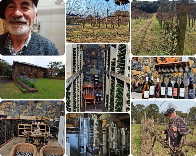 Os Vinhos Raízes da Família Possamai.