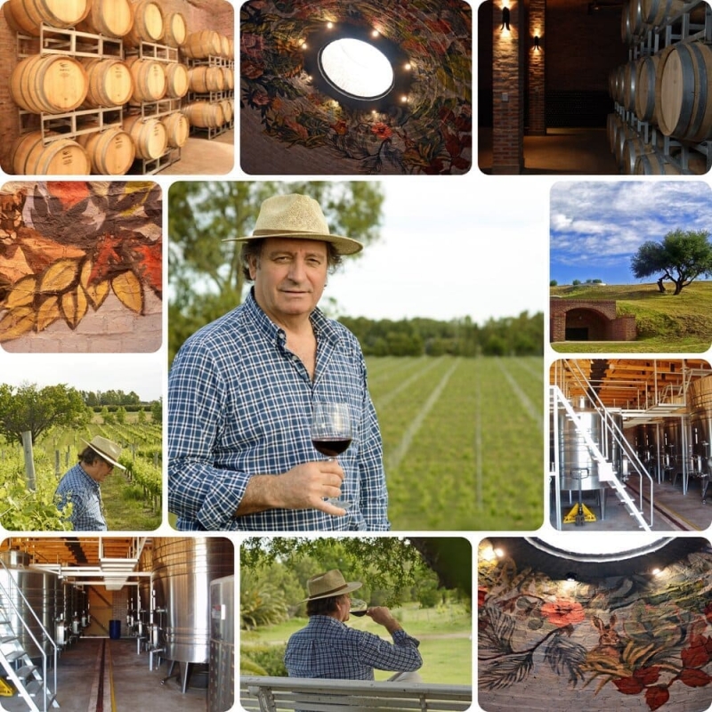 Daniel Di Nucci y la gran historia de los vinos prohibidos en Argentina