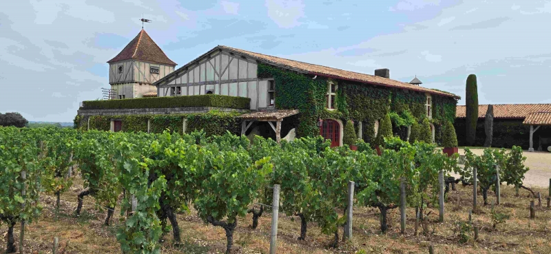Château Smith Haut Lafitte: Mucho más que un Gran Vino de Burdeos 