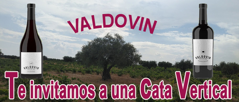 Promoción especial de vino Valdovín y cultura de la cata del vino.