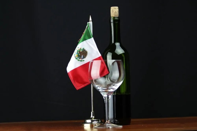 Foto mundo del vino