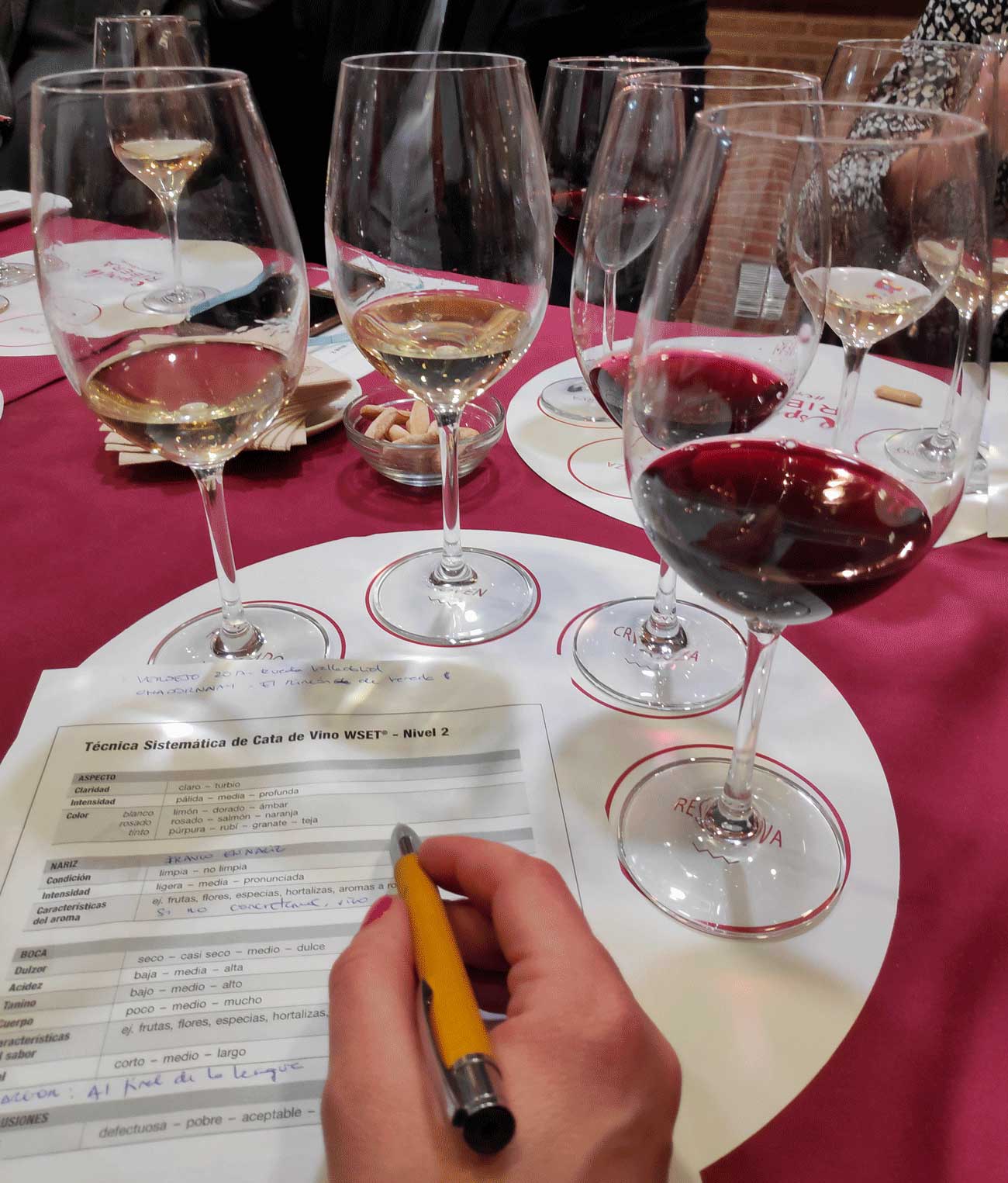 Foto mundo del vino